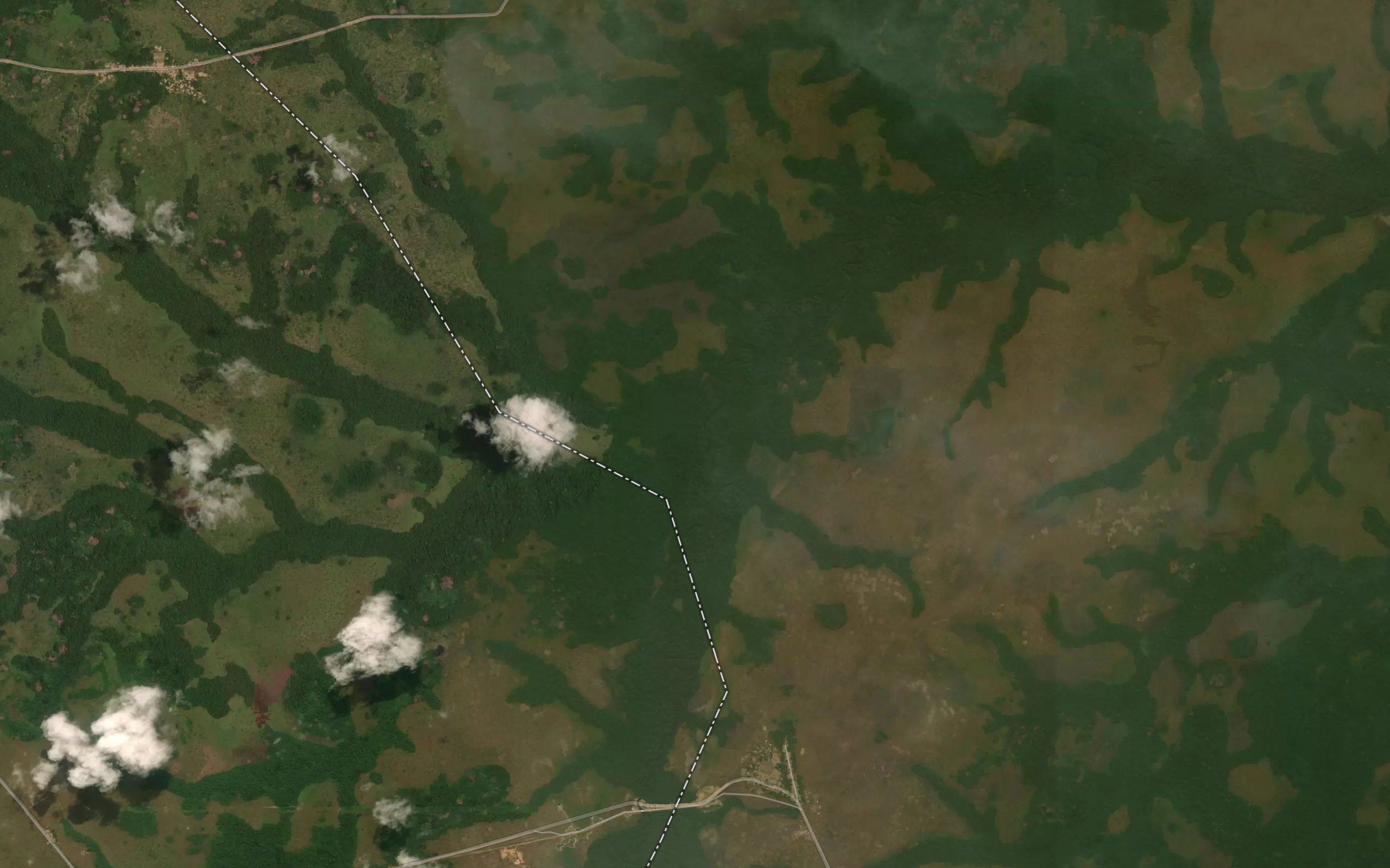 Ngonoo