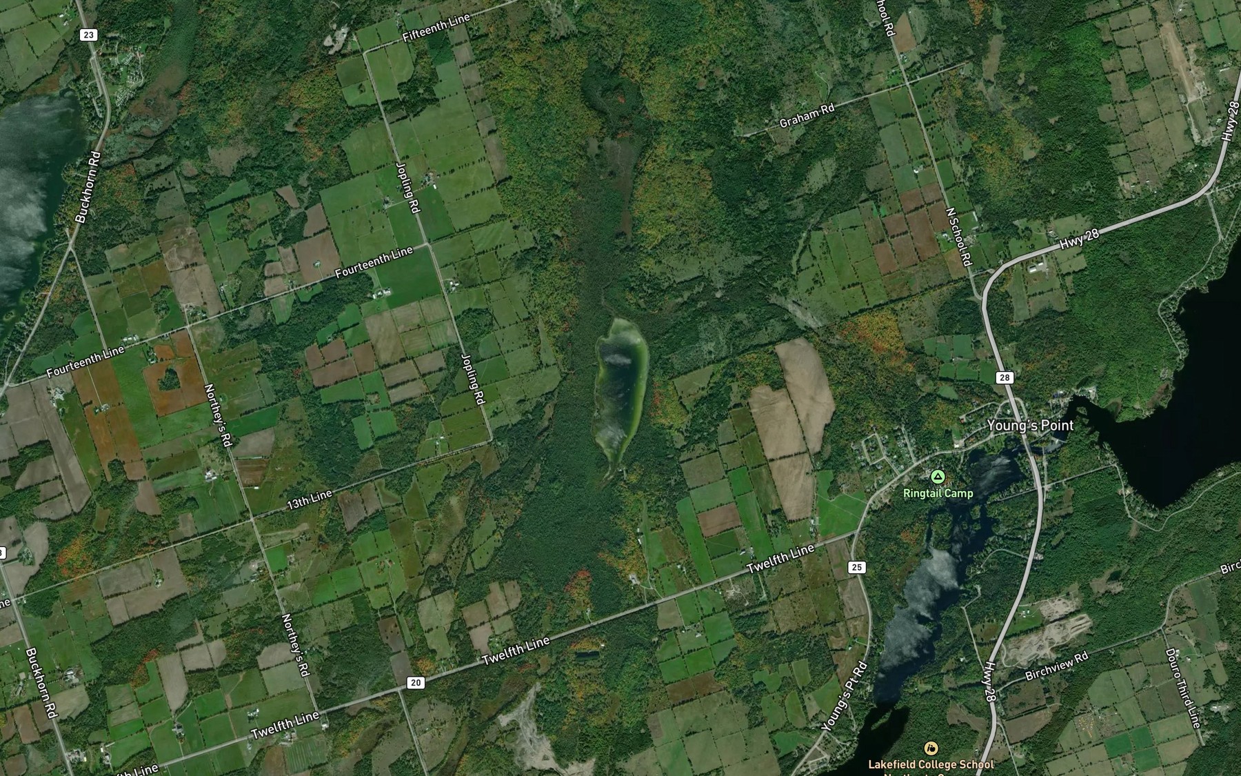 Satellite map of the Moore Lake