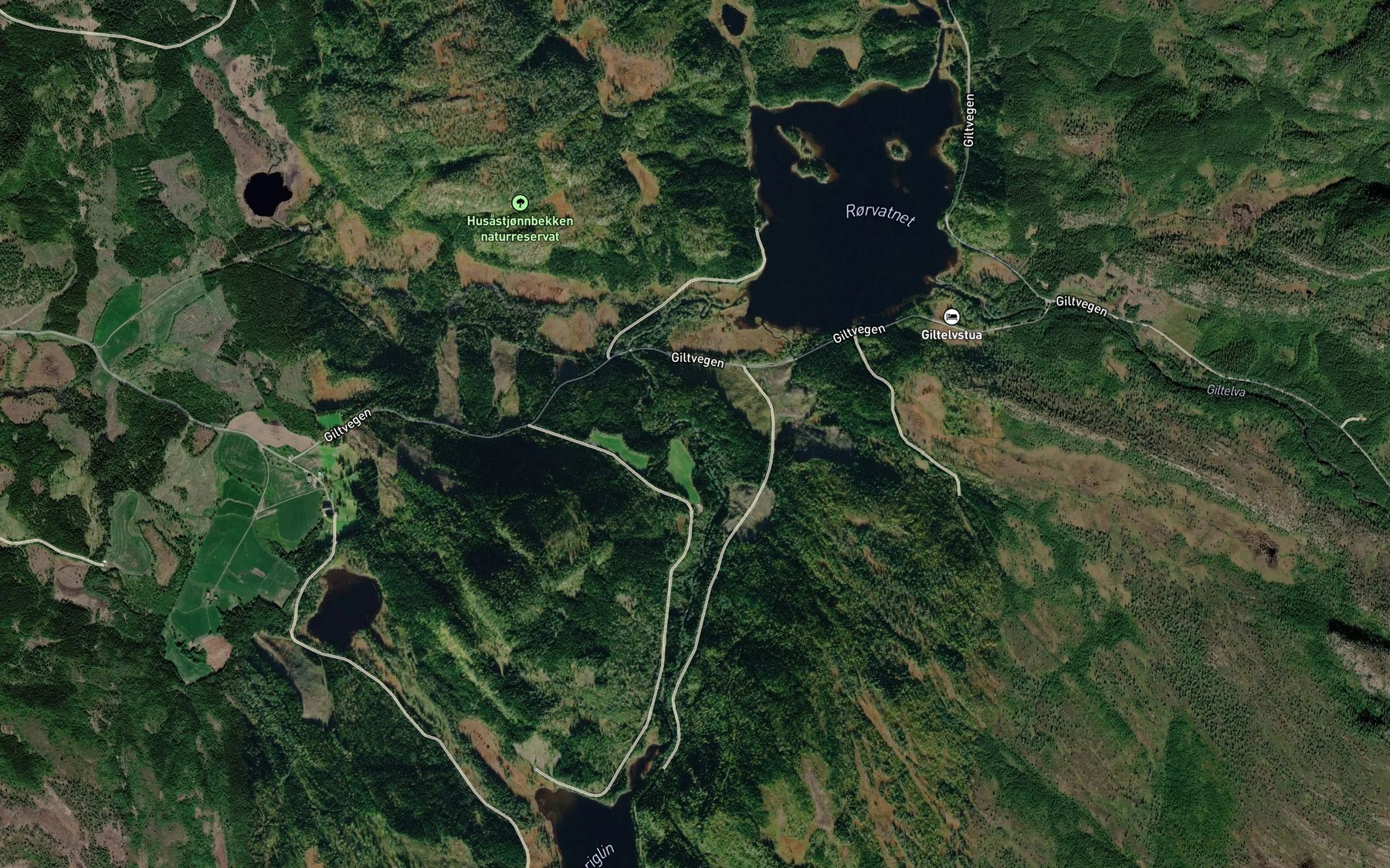 Satellite map of the Loselva