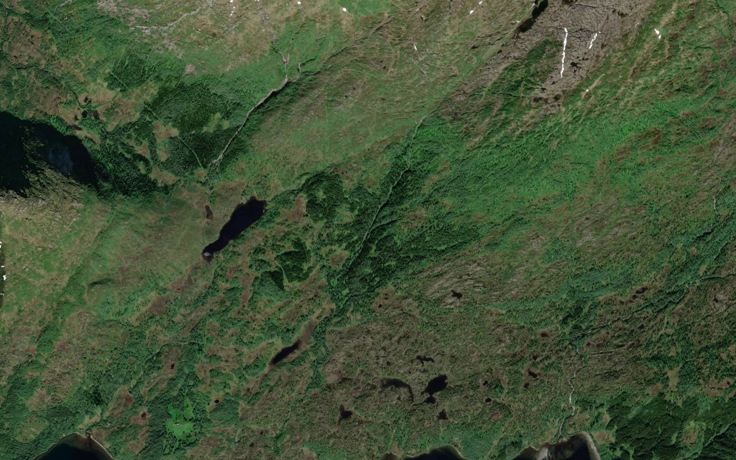 Kvanndalselva