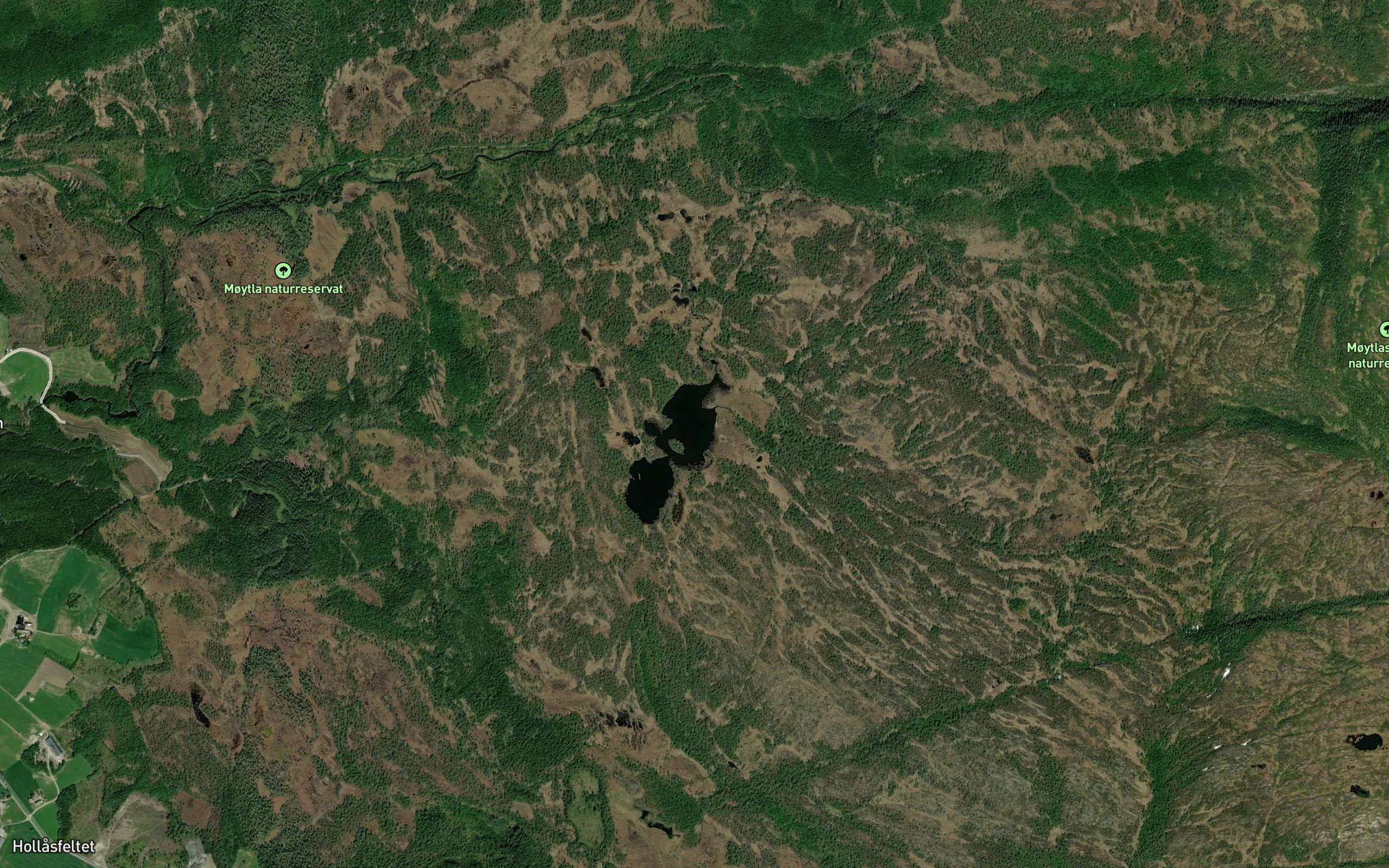 Giskastjorna