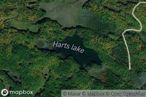 Harts Lake