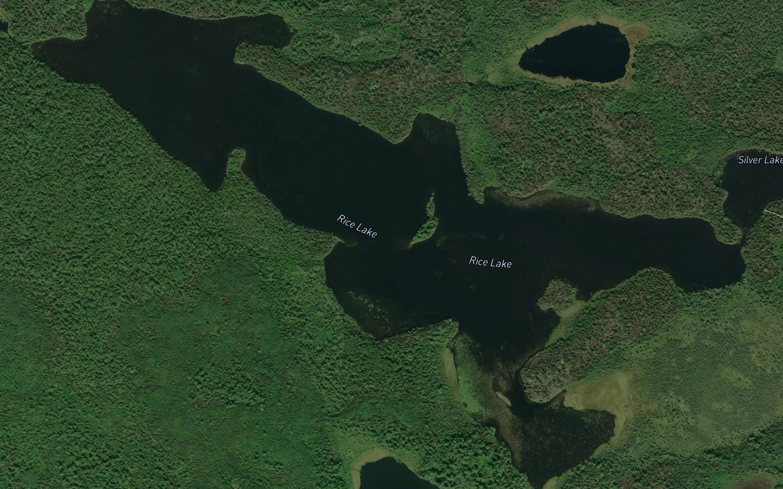 Rice Lake