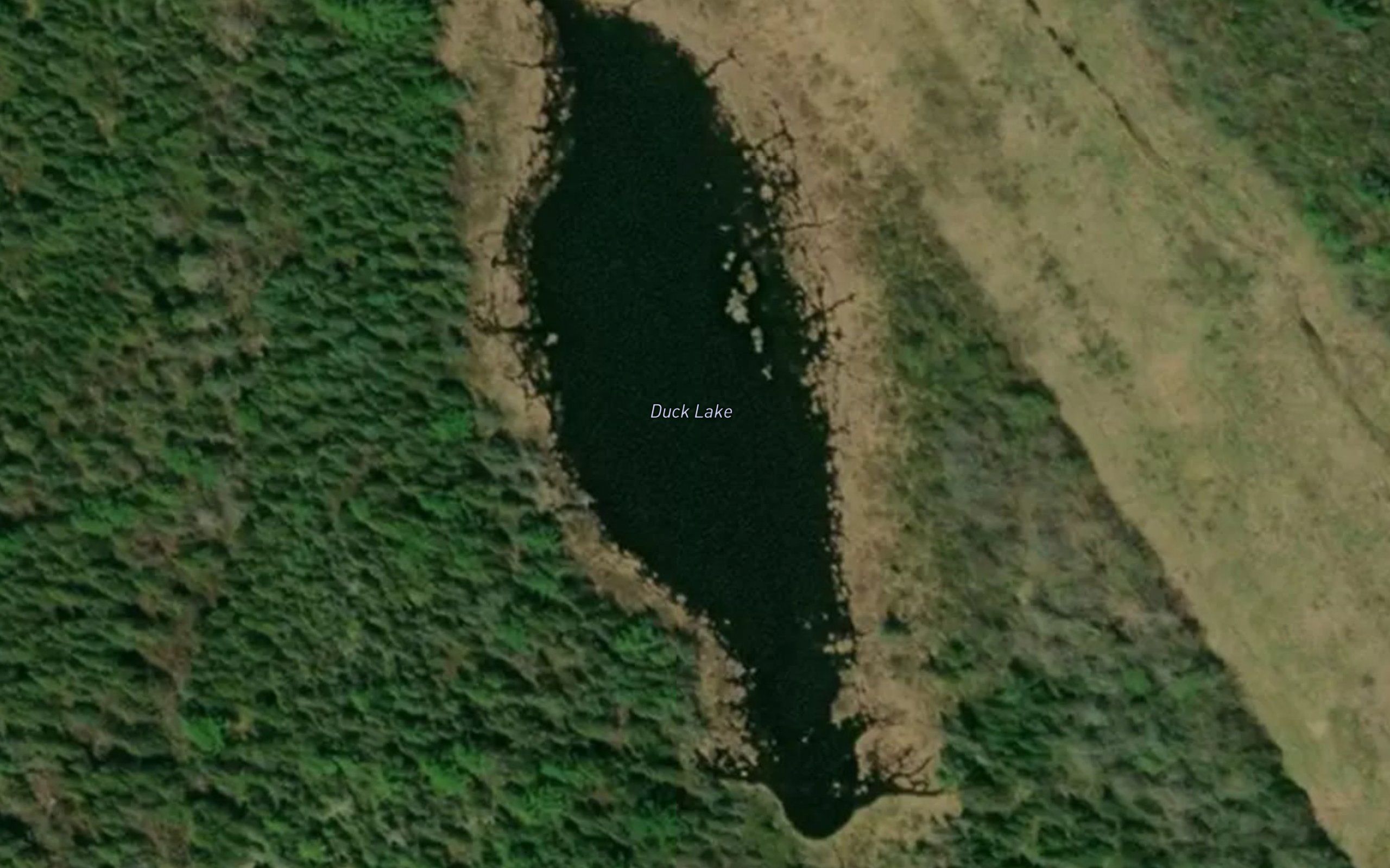 Duck Lake