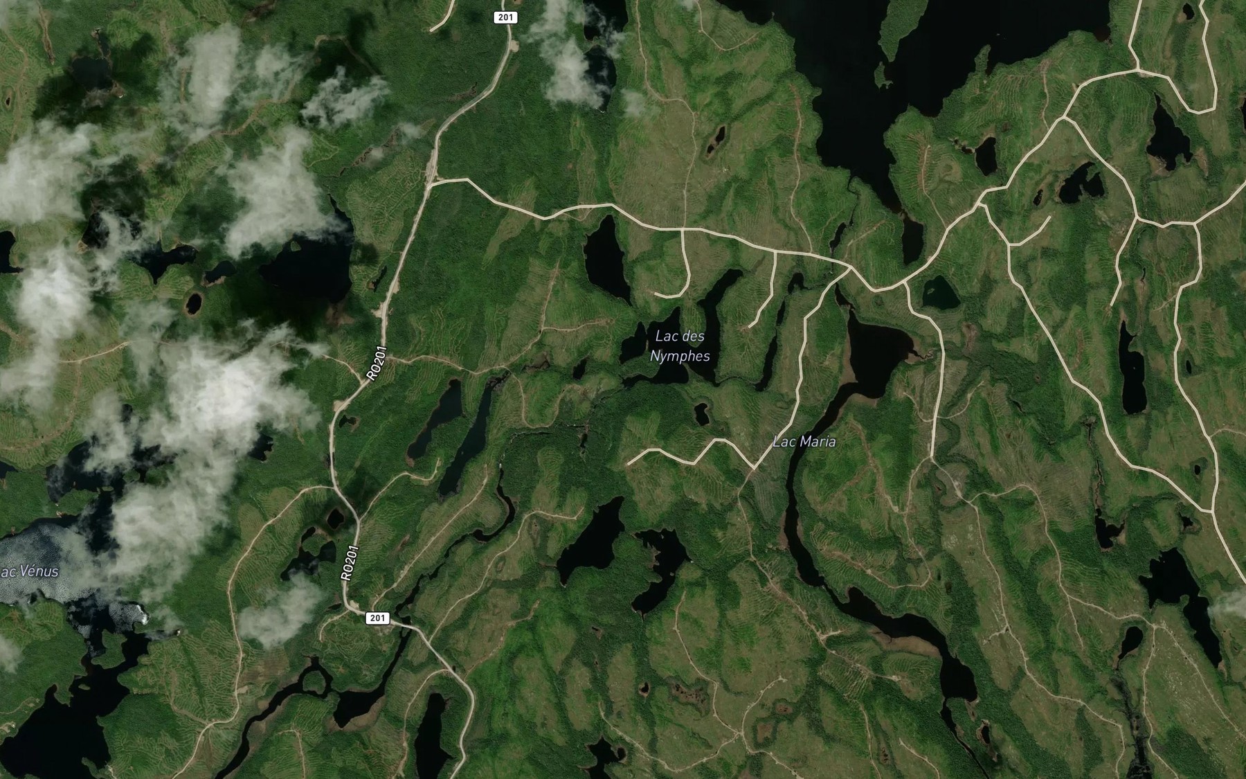 Satellite map of the Riviere Venus