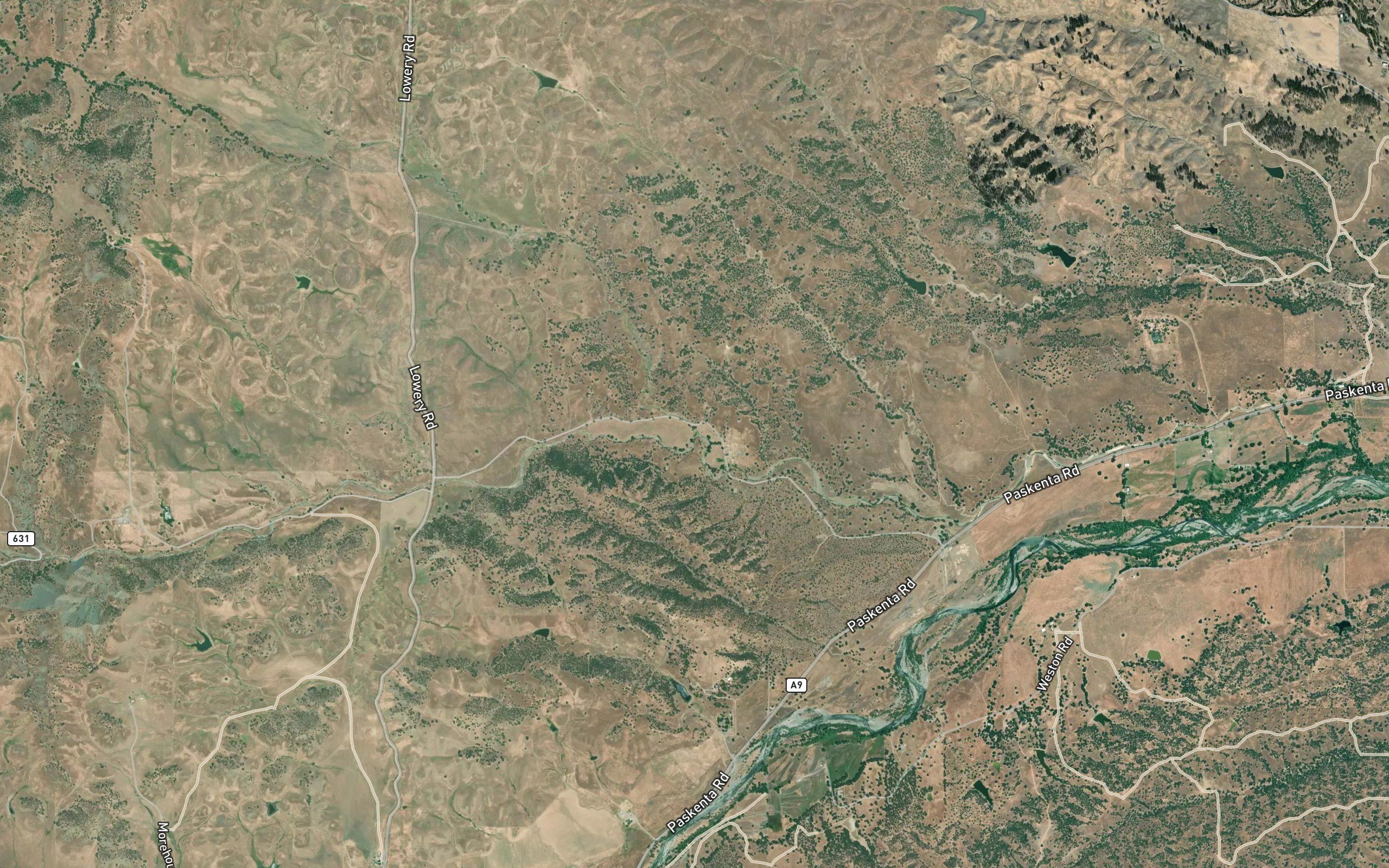 Nevada Creek