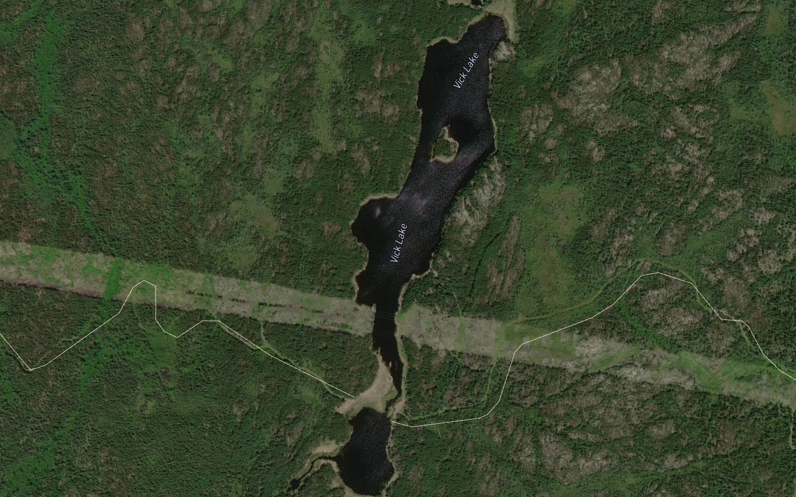Vick Lake