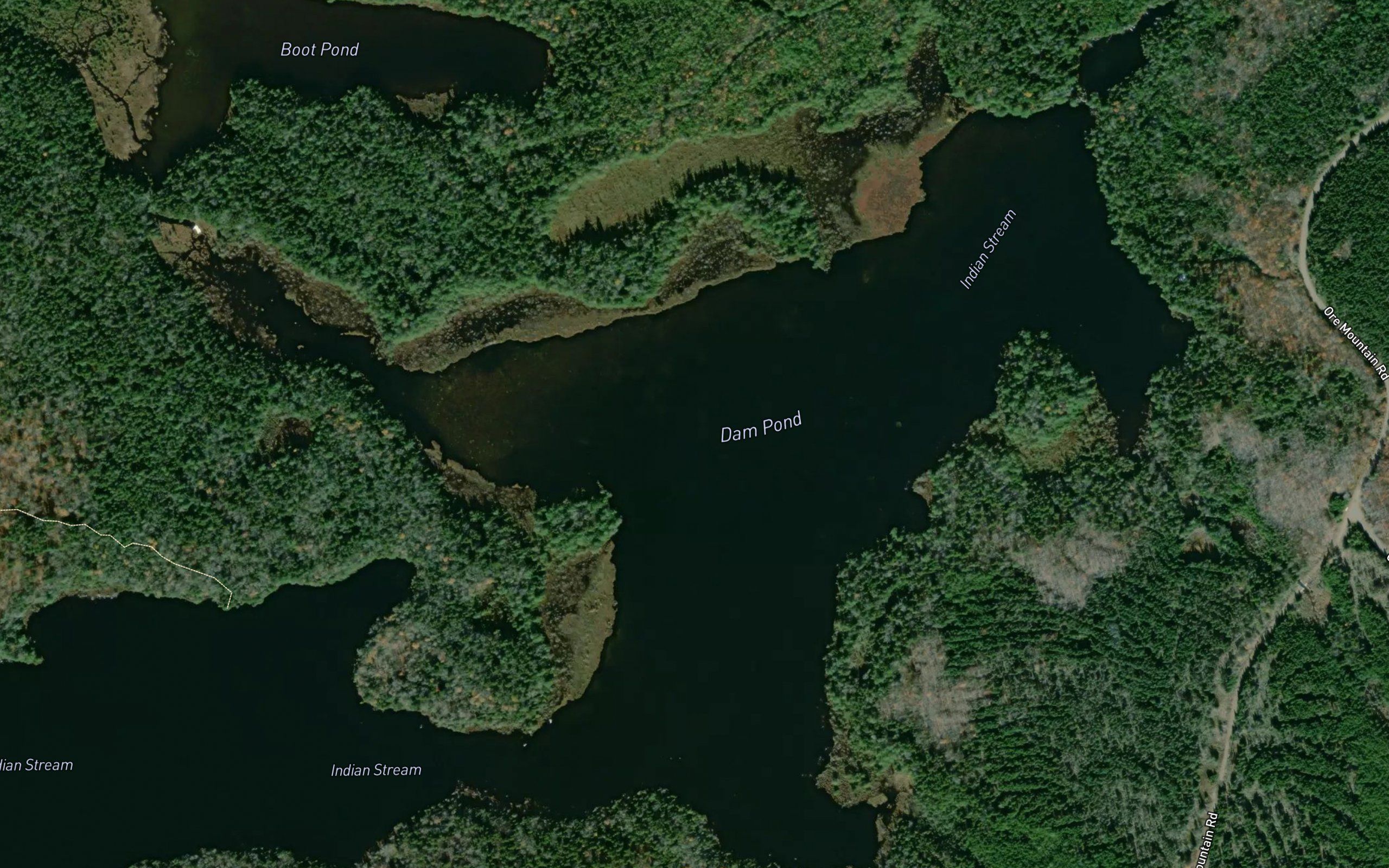 Dam Pond