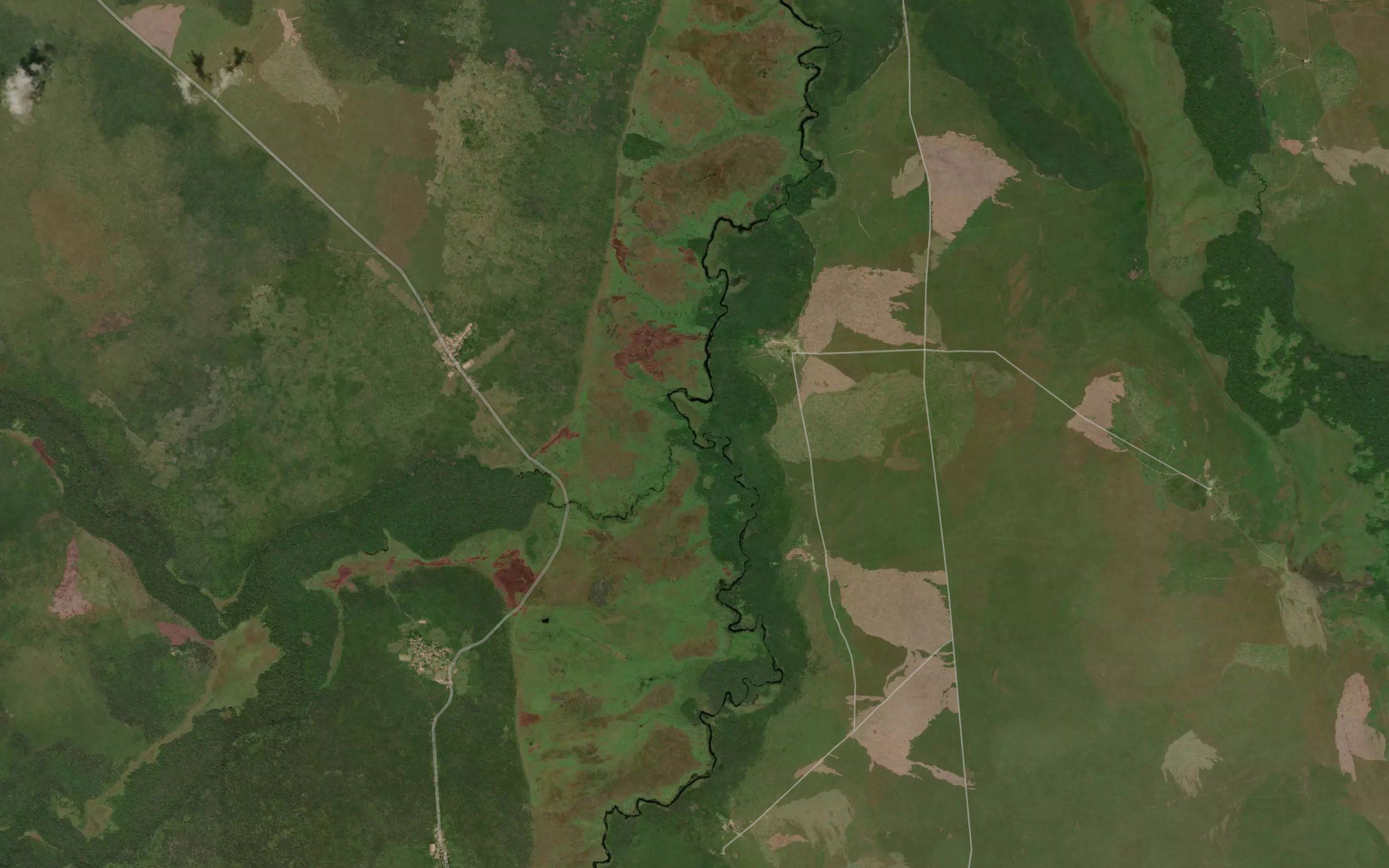 Kisamba