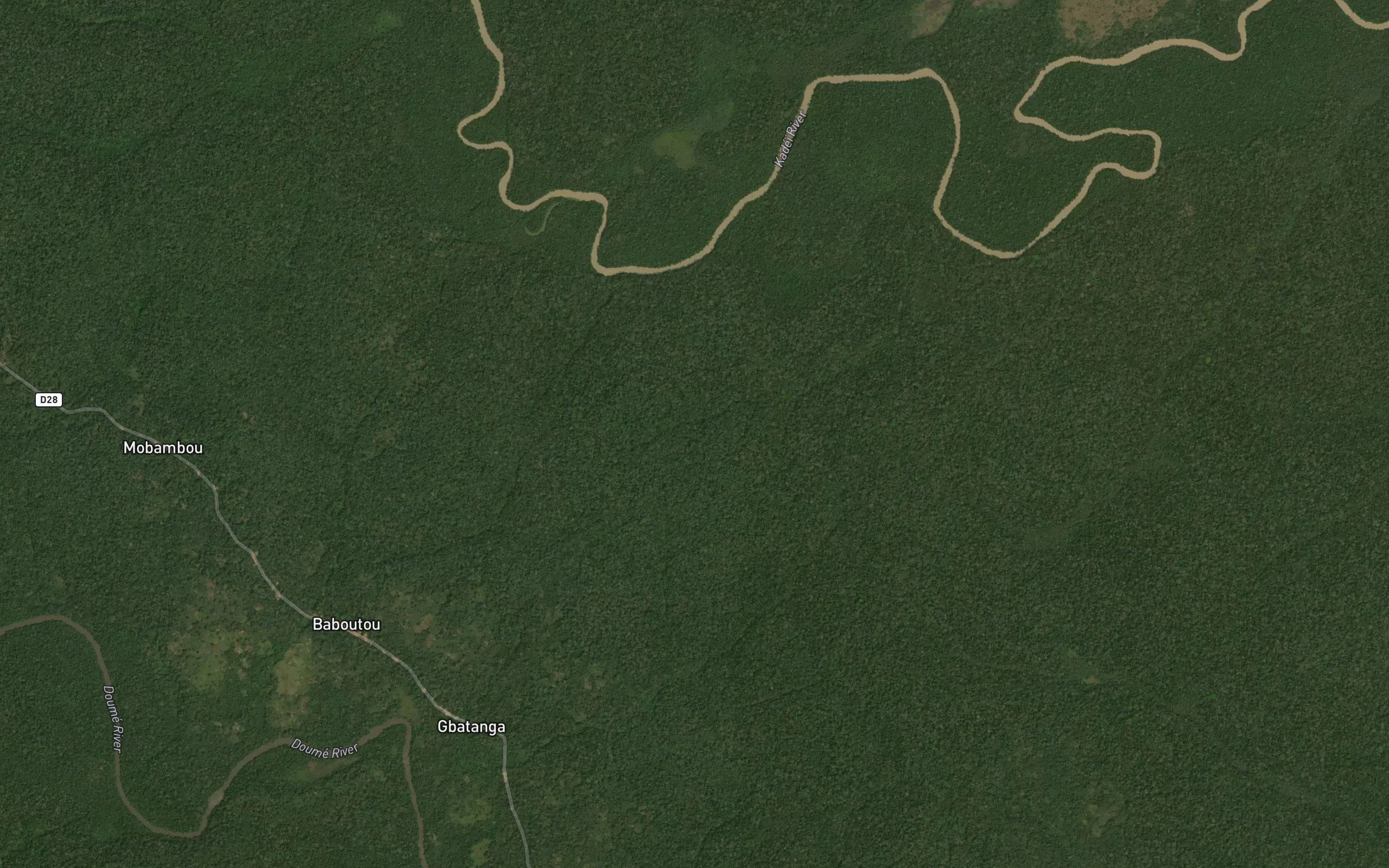 Bako
