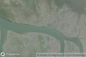 Nemah River Channel