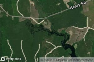 South Fork Poplar Swamp