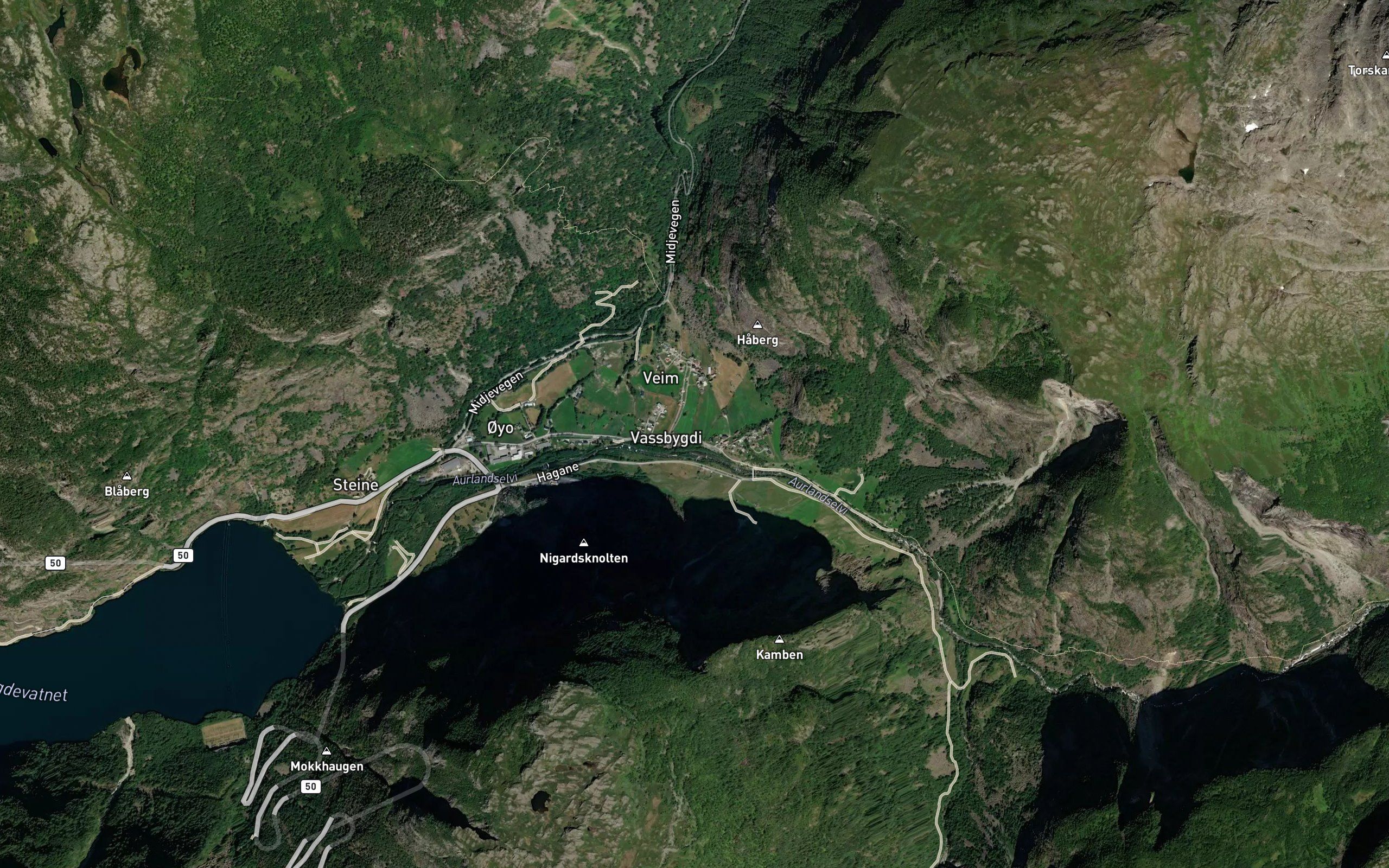 Veimsgrovi