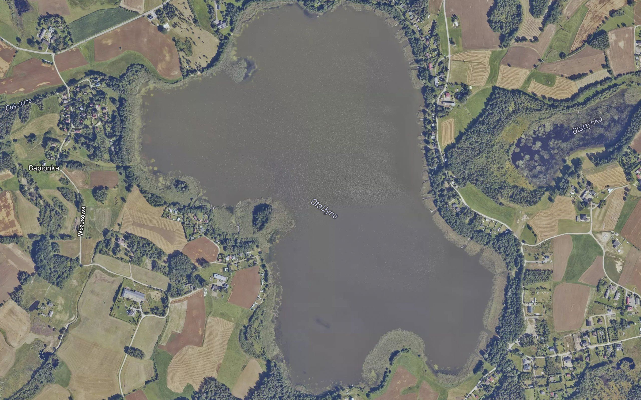 Otalzyno