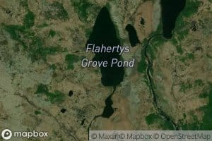 Flahertys Grove Pond