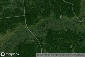 Fourth of July Branch