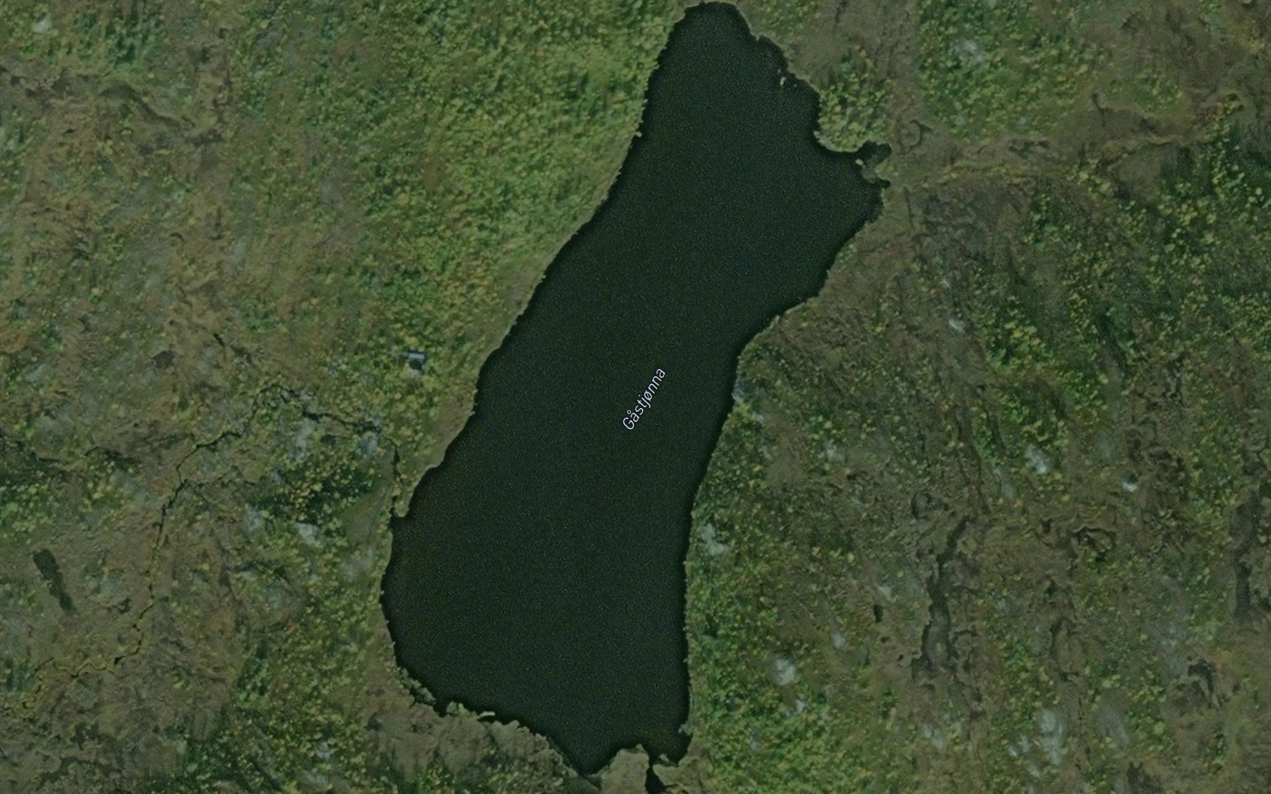 Gastjorna