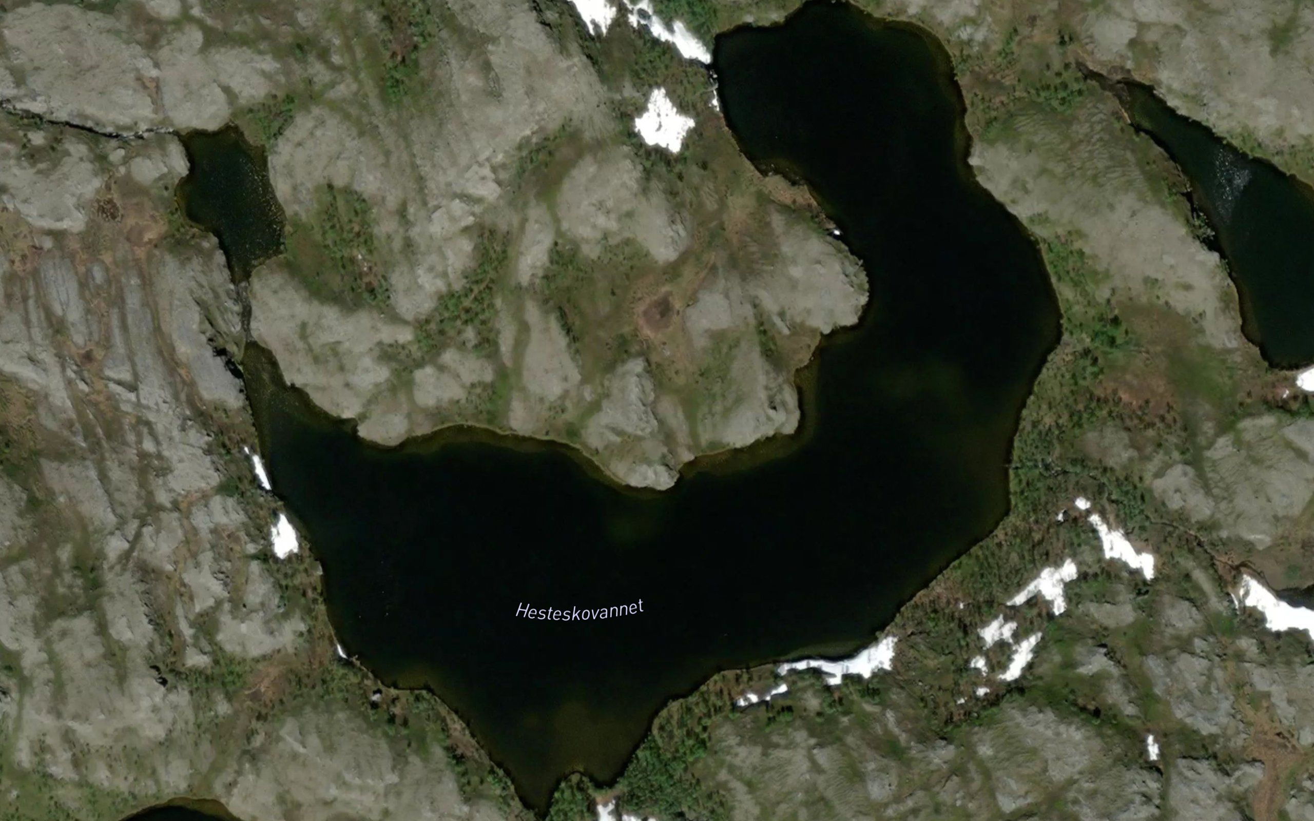 Hesteskovatnet