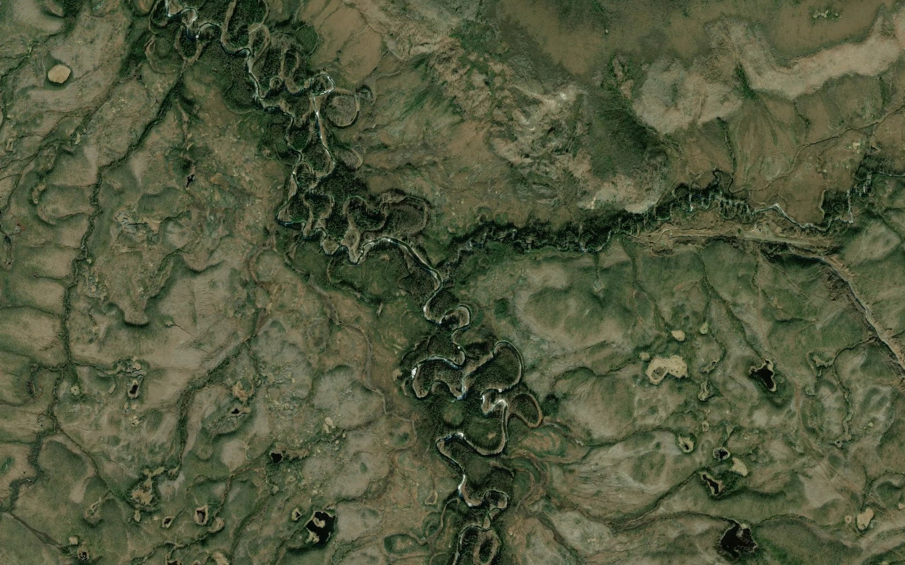 Satellite map of the Mastodon Creek