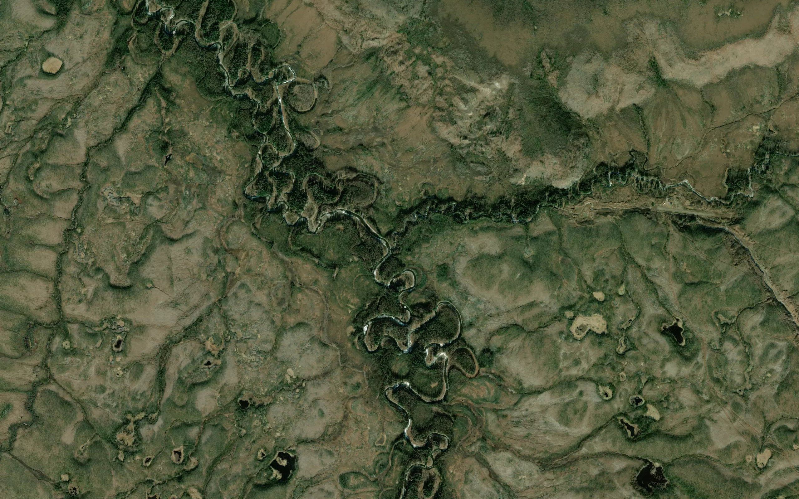 Mastodon Creek