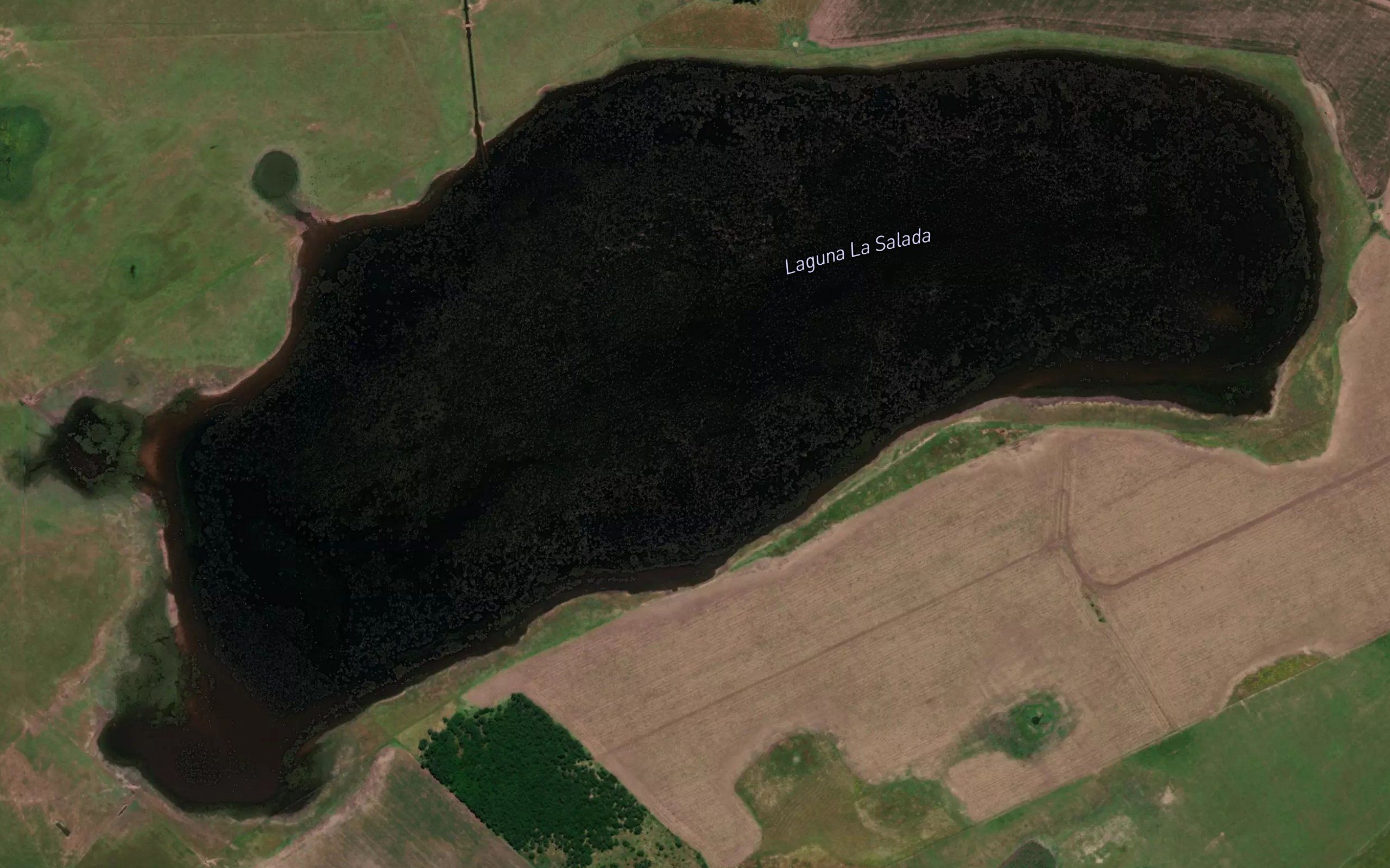Laguna La Salada