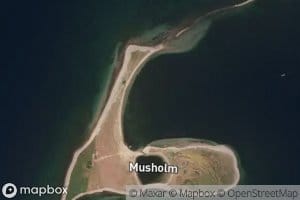 Musholm Havn