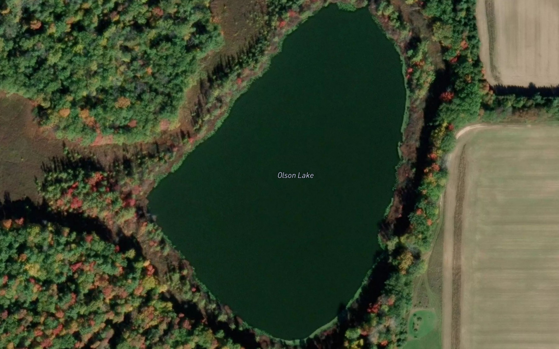 Satellite map of the Olson Lake
