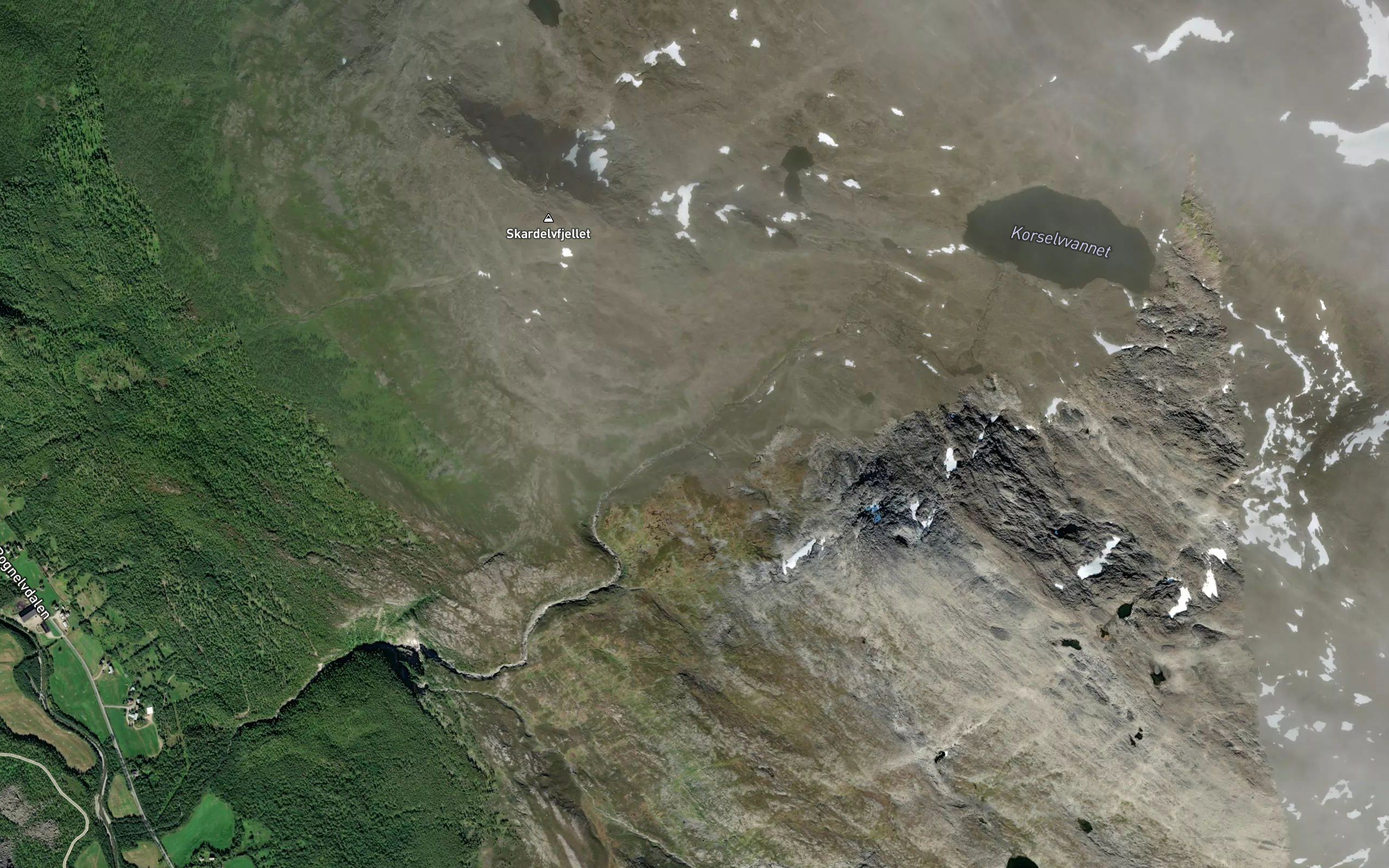 Korselva