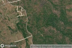 Muoni