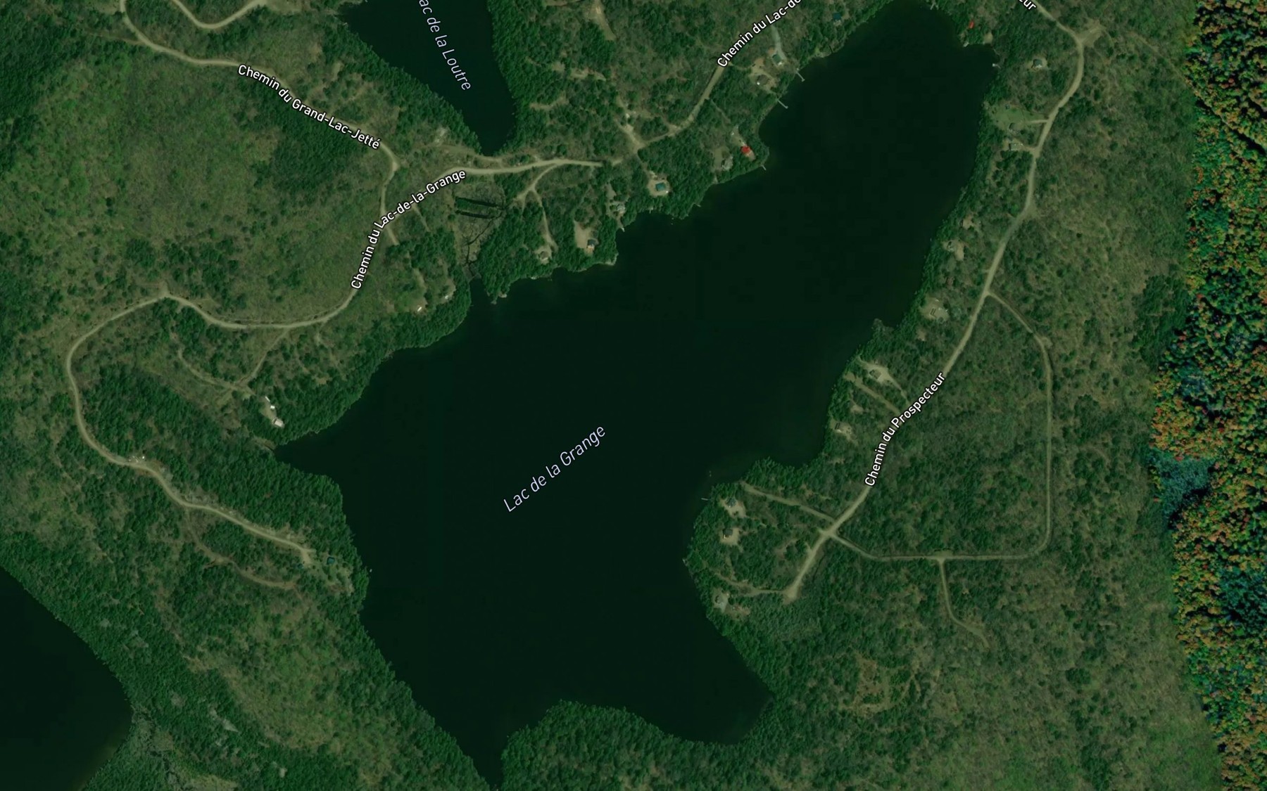 Satellite map of the Lac Saint-Jean