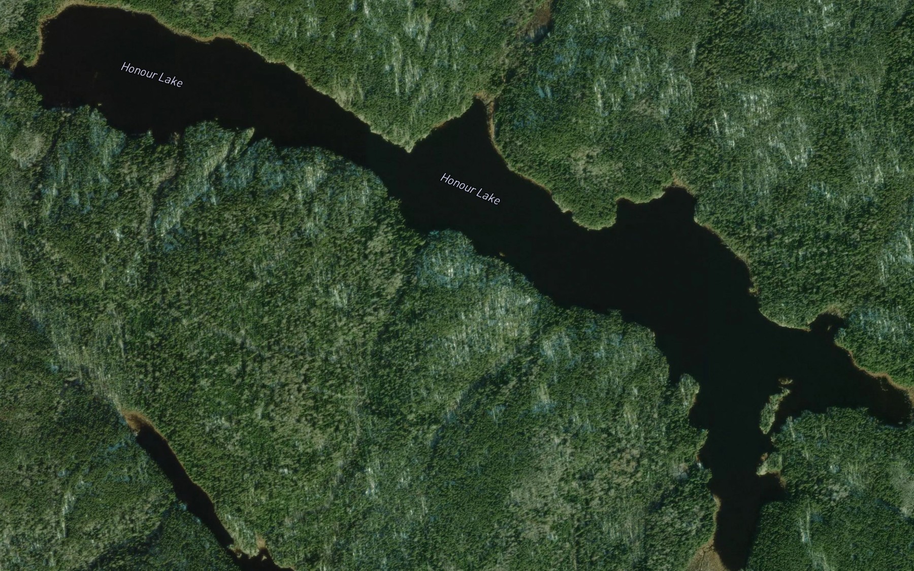 Satellite map of the Honour Lake