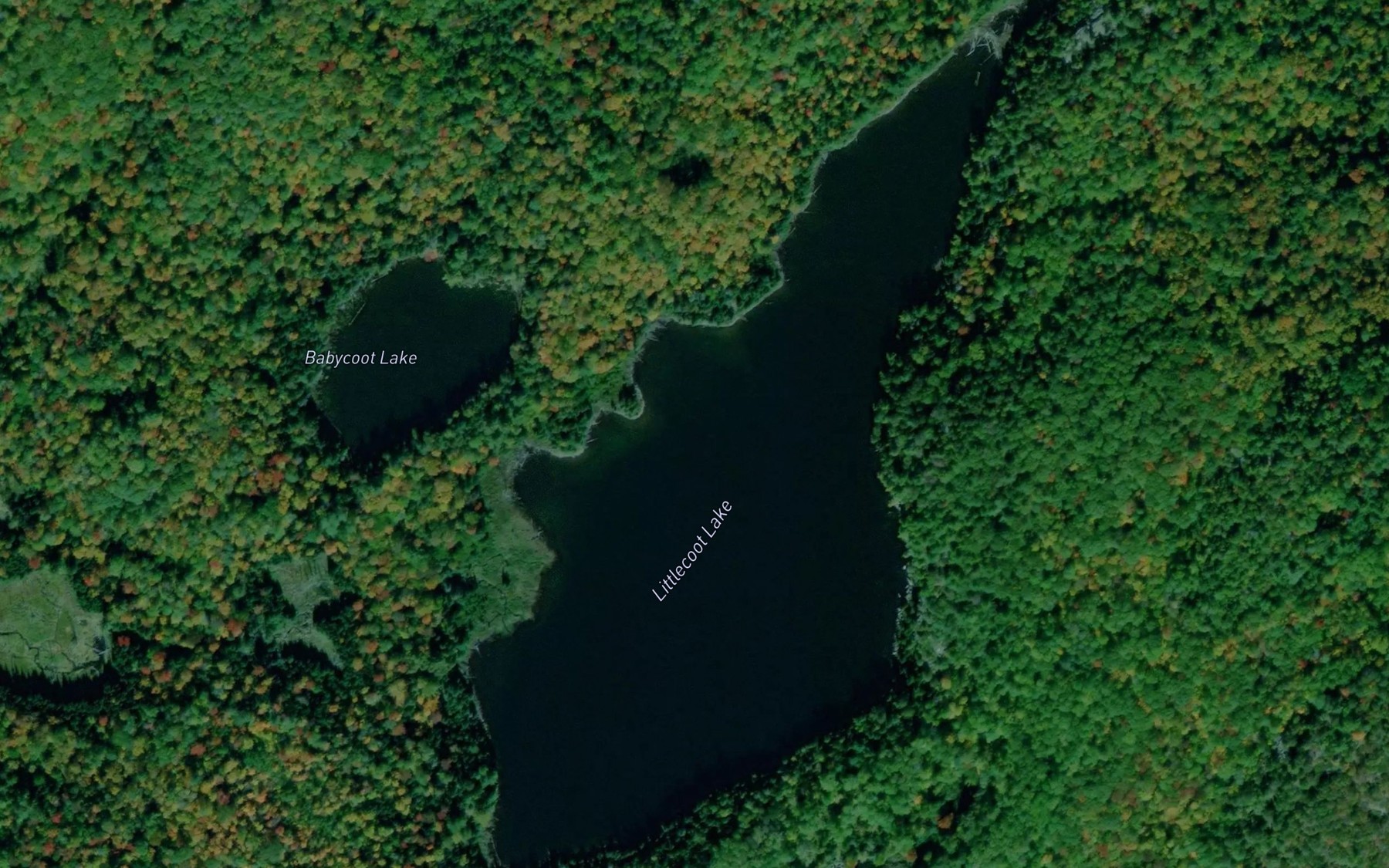 Satellite map of the Littlecoot Lake