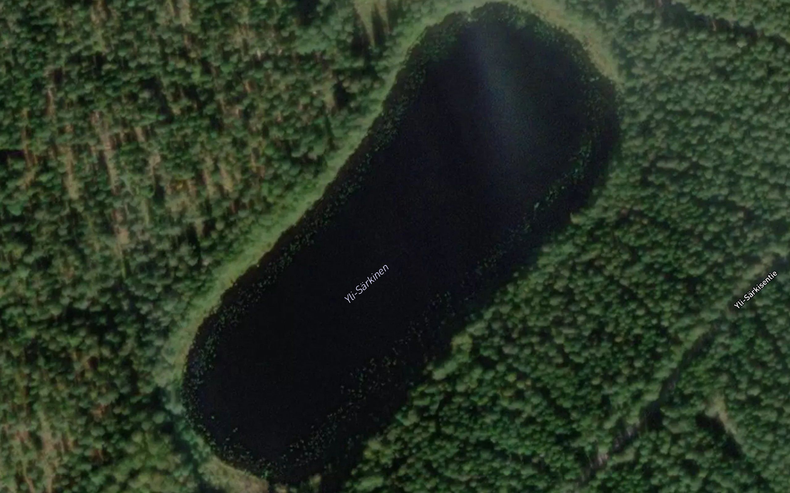 Yli-Sarkinen