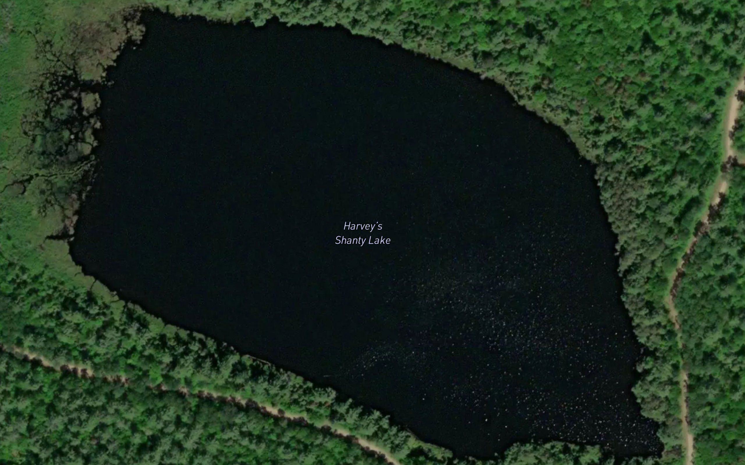 Harvey's Shanty Lake