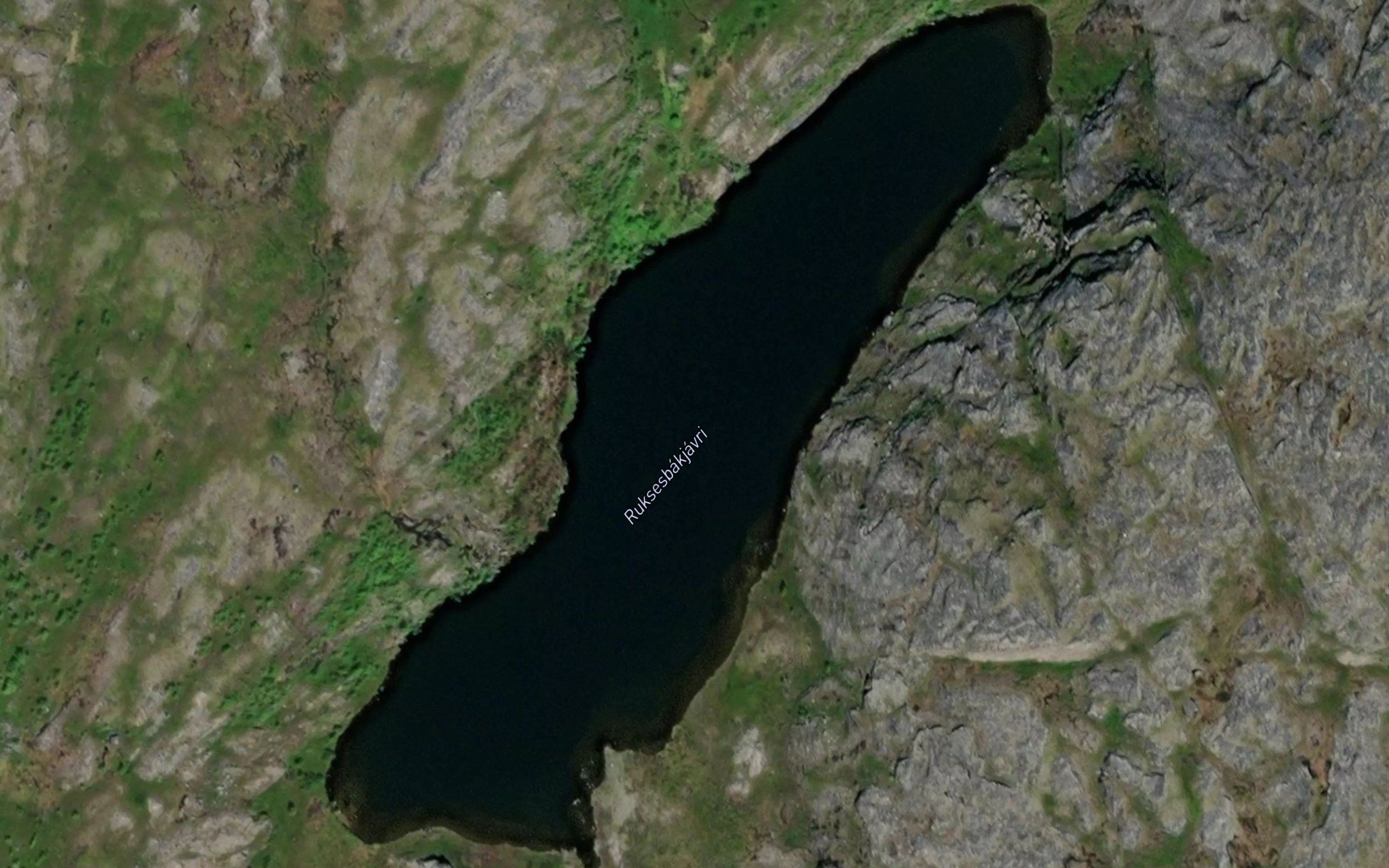 Ruksesbakjavri