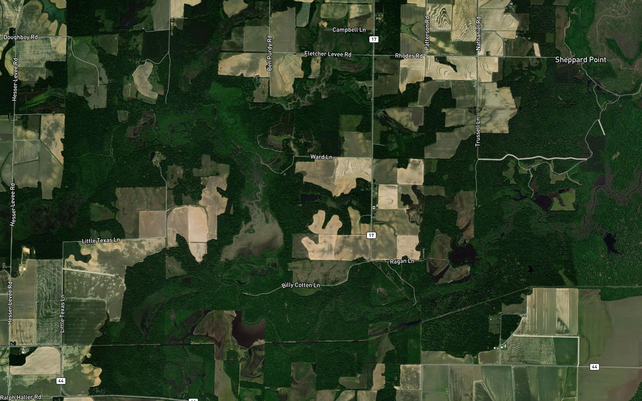 Jenkins Lake