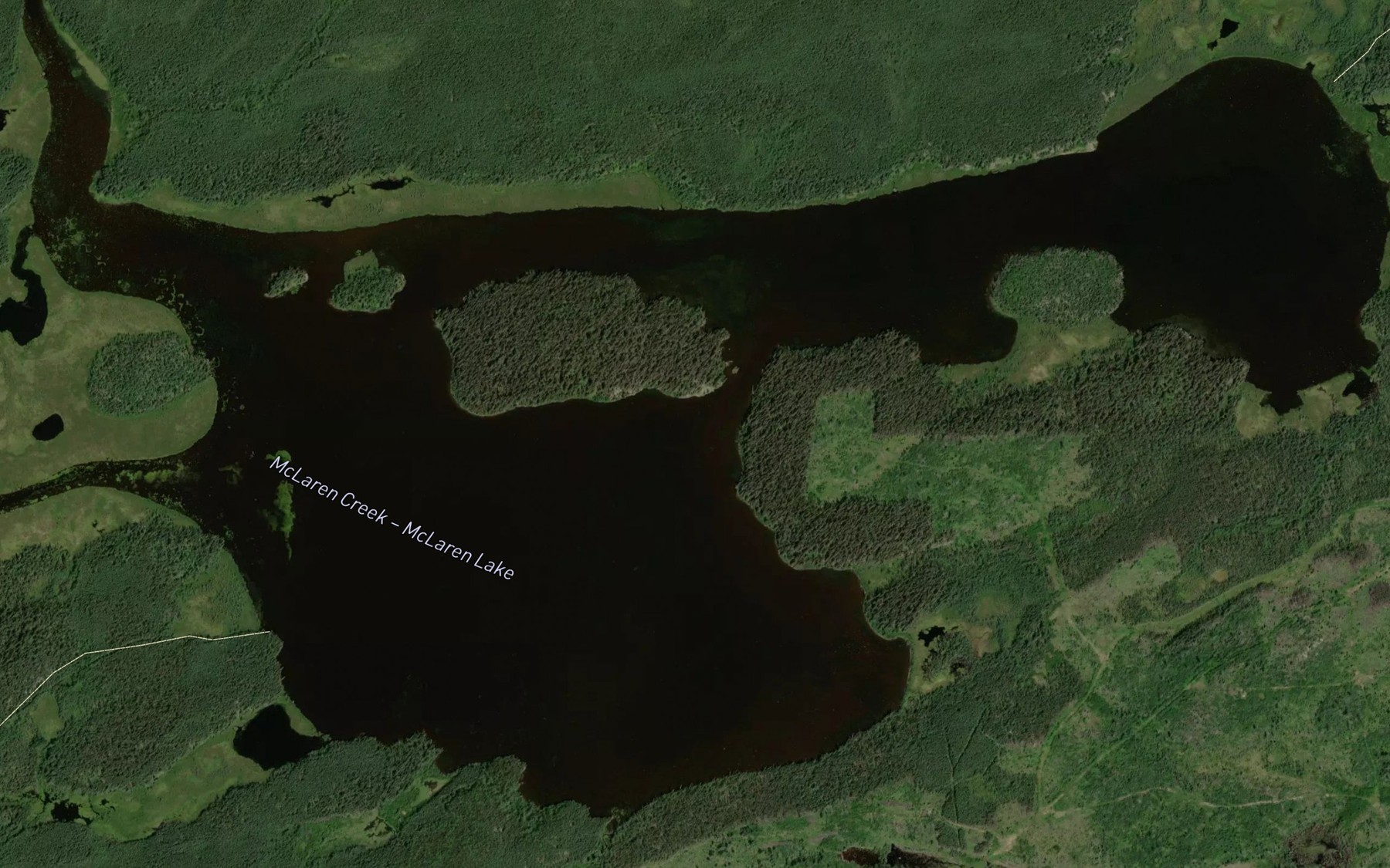 Satellite map of the McLaren Lake