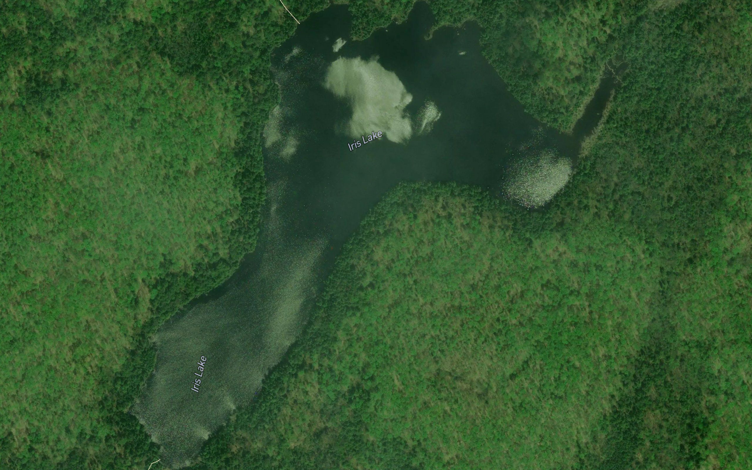 Iris Lake