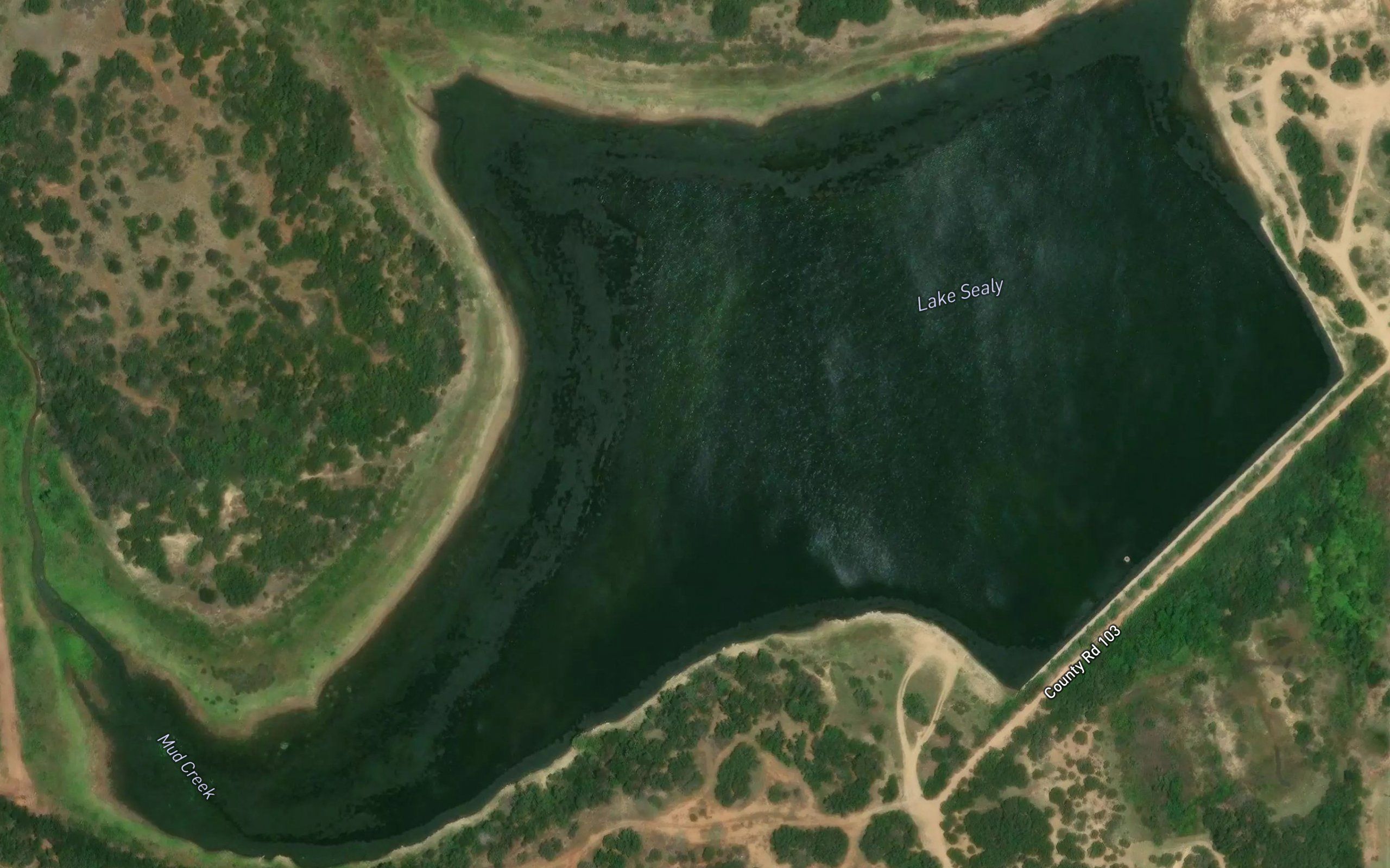 Lake Sealy