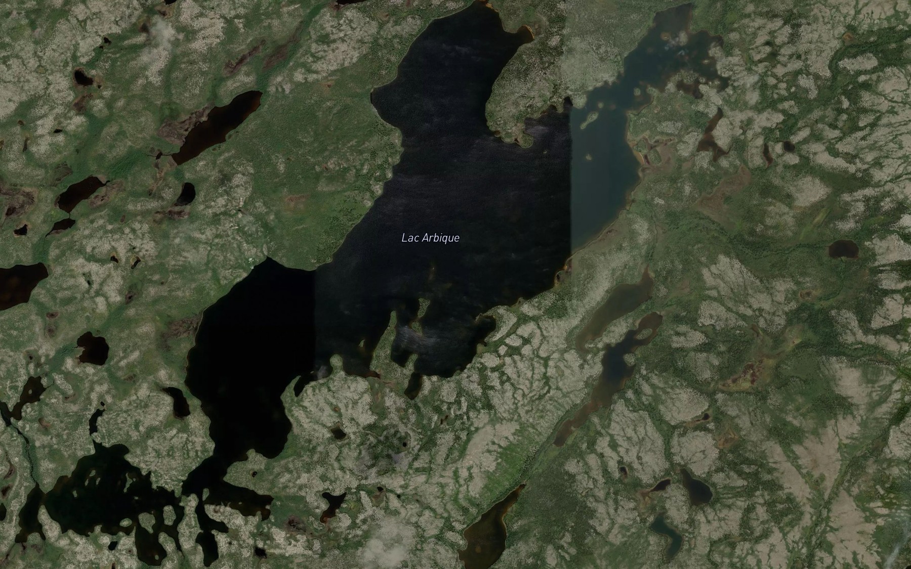 Satellite map of the Lac Arbique