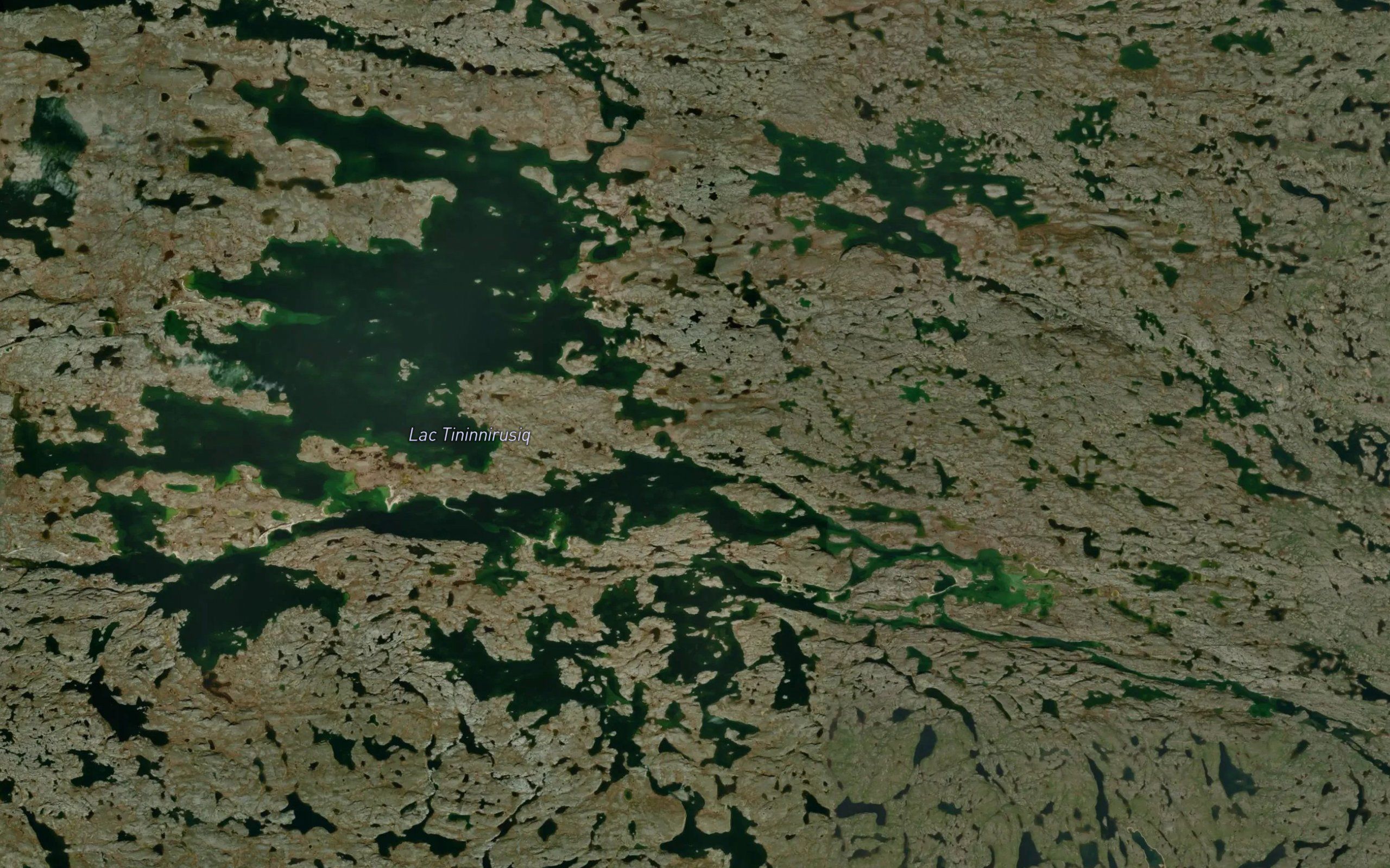 Lac Tininnirusiq