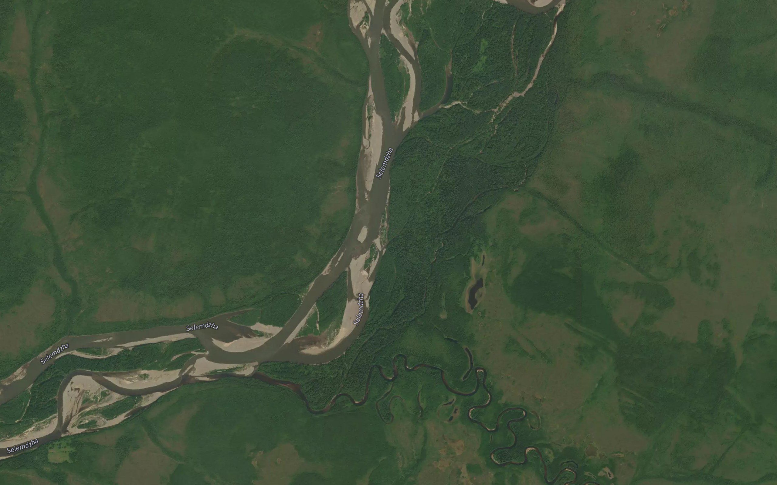 Burundyu