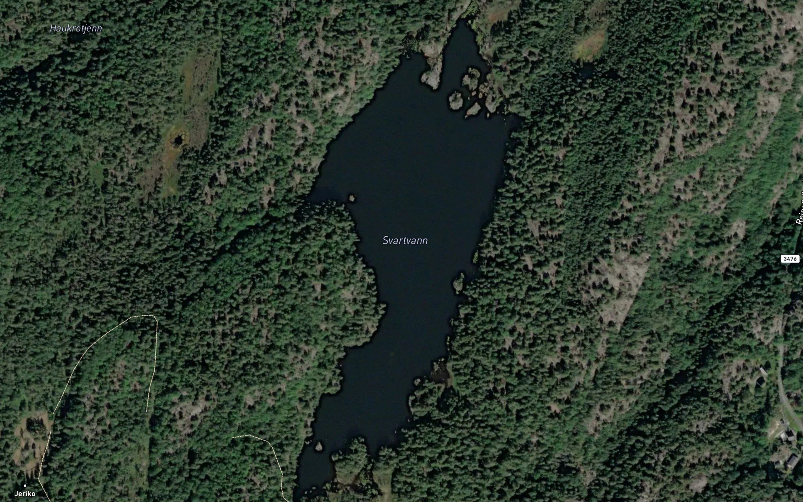 Svartvann