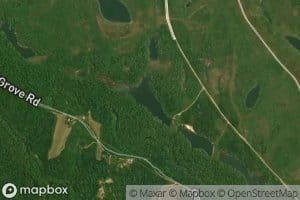 Ohio Power Company Pond Mum-40