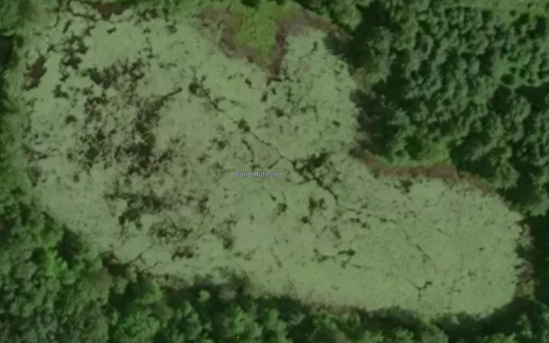 Satellite map of the Bond Mill Pond