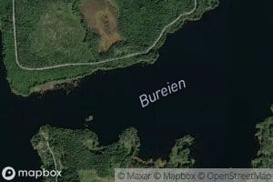 Bureien