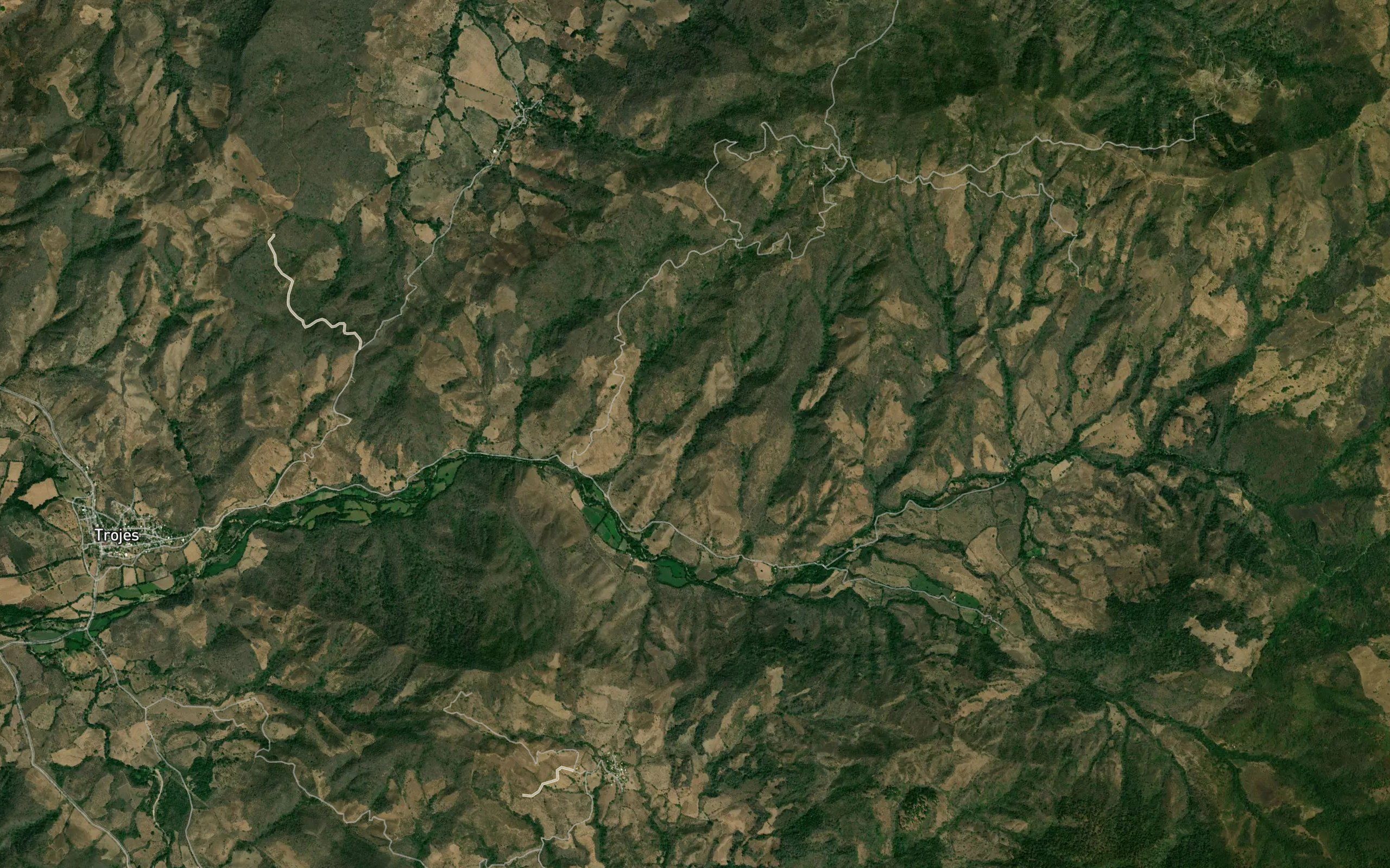 Barranca Higuera Panda