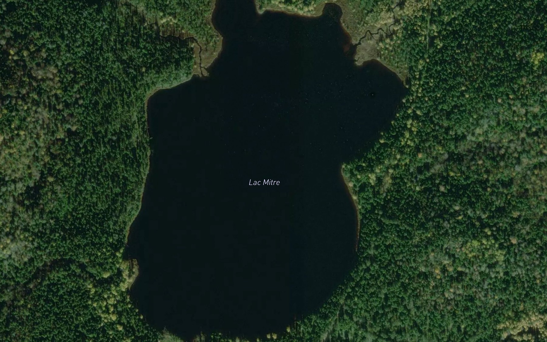 Satellite map of the Lac Mitre
