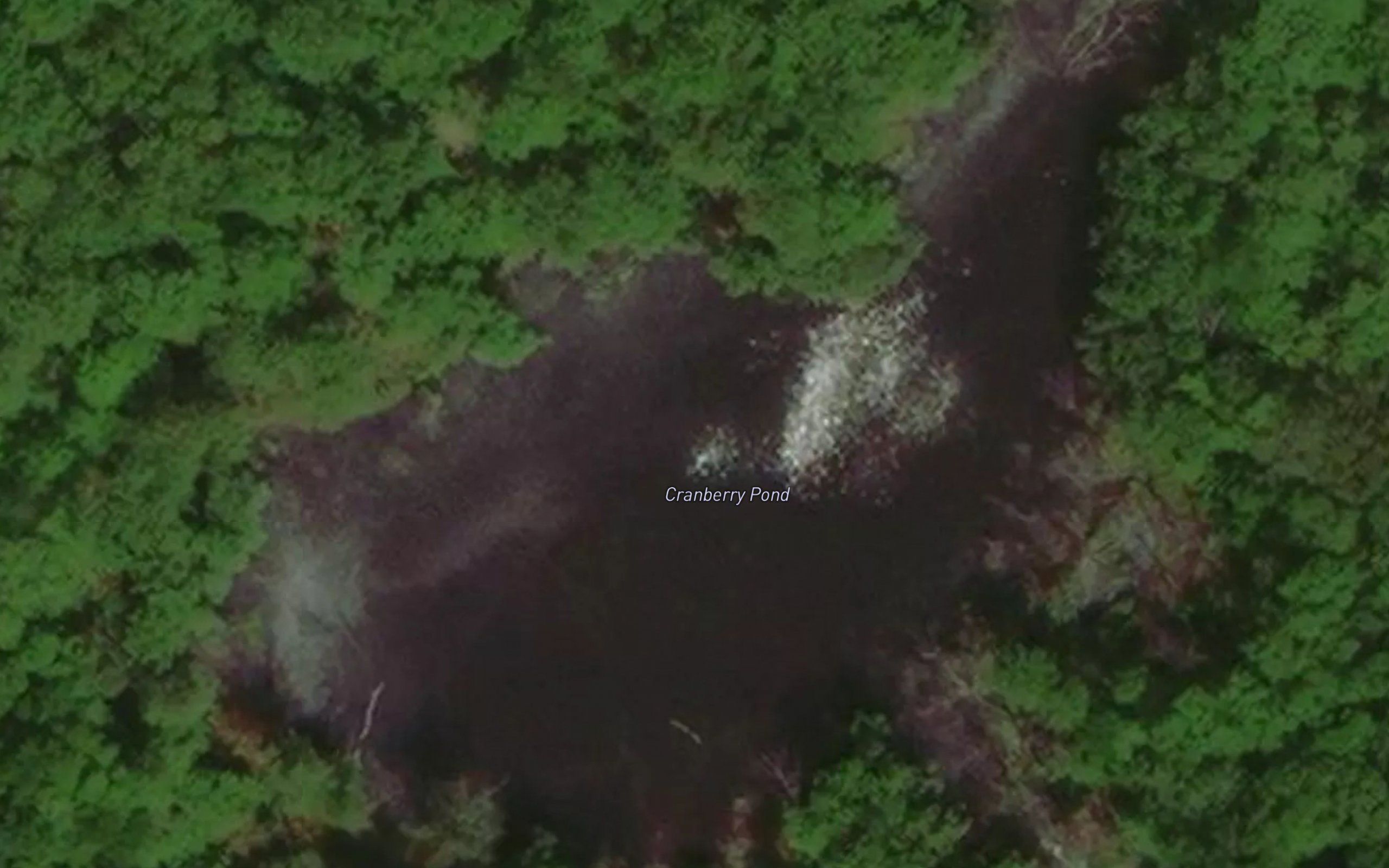 Cranberry Pond