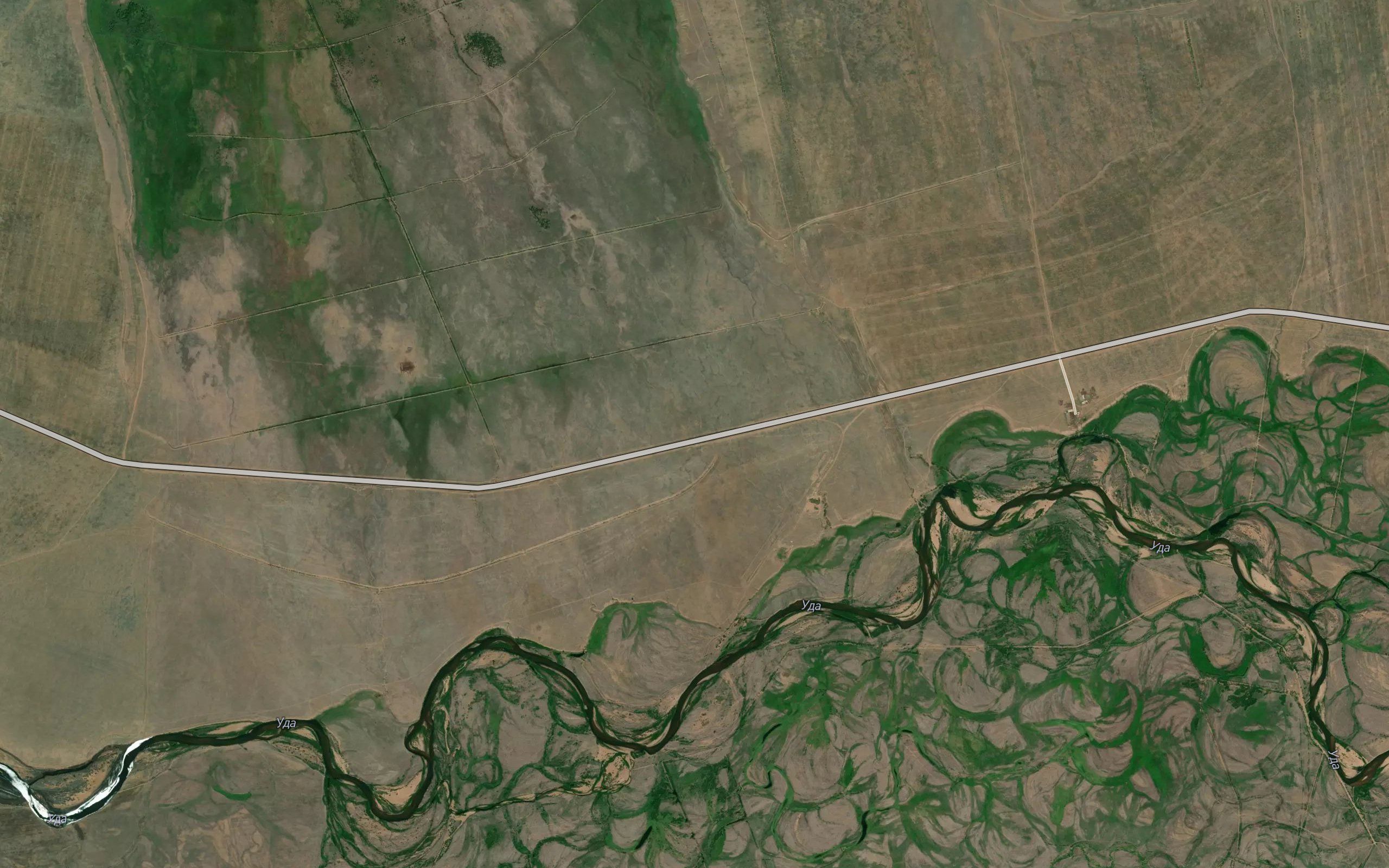Shubuguy